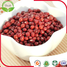 2016 New Crop Red Bamboo Bean, Vigna Bean